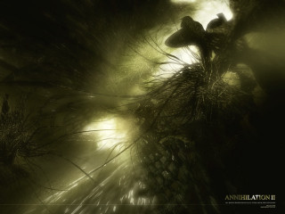 Dark bird tree branch foggy 2 - the branch free wallpaper