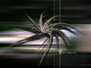 Plant long thin stem blurry - thin free wallpaper