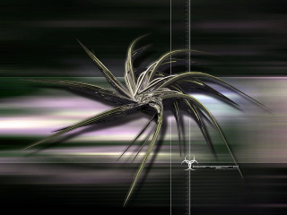 Plant long thin stem blurry 3 - thin free wallpaper