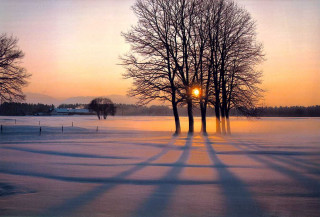 Snowy field trees sunset clouds 4 - andy goldsworthy free wallpaper