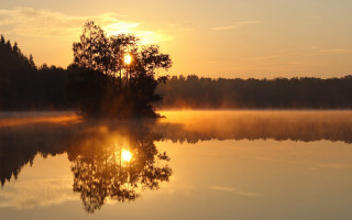 Lake tree sunset fog water 4 - the distance behind free wallpaper