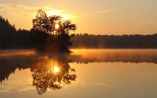 Lake tree sunset fog water 2 - a fog free wallpaper