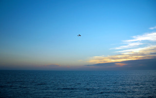 Bird flying ocean sunset plane 4 - a plane in the distance free wallpaper