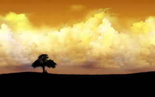 Lone tree field cloudy sky 3 - matte painting free wallpaper