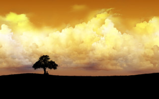 Lone tree field cloudy sky 5 - matte painting free wallpaper