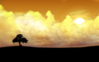 Lone tree field sunset clouds 7 - matte painting free wallpaper