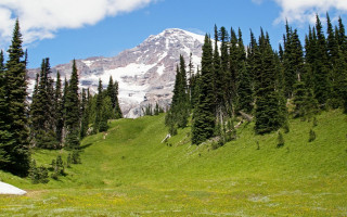 Mountain snow capped peak trees 3 - a grassy field free wallpaper