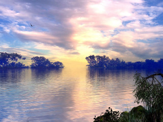 Lake bird flying trees sunset - over the water free wallpaper