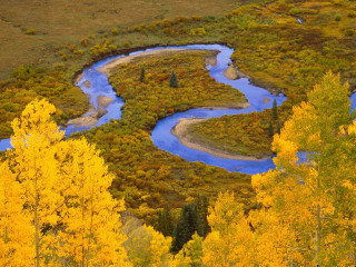 River lush forest yellow leaves 2 - yellow leaf free wallpaper