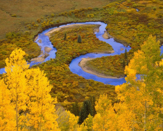 River forest leaves campfire autumn - yellow leaf free wallpaper