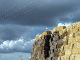 Haystack field cloudy sky powerlines - a field under a cloudy sky free wallpaper