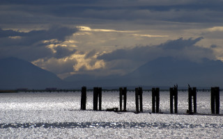 Wooden posts lake cloudy sky 3 - dramatic free wallpaper