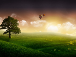 Green field tree hotairballoons sunset - hot air balloon free wallpaper