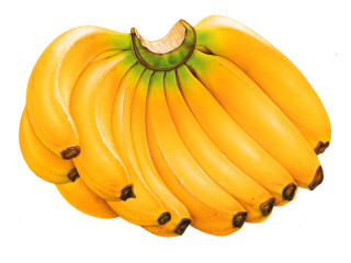 Bananas hanging tree branch white 4 - a white background free wallpaper