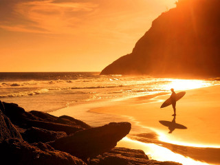 Person holding surfboard walking beach 5 - a surfboard free wallpaper
