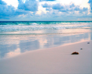Sandy beach waves starfish cloudy 4 - free bikini wallpaper
