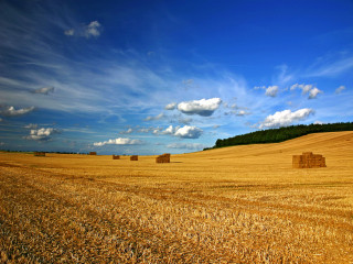 Hay field bales blue sky 5 - a field of hay free wallpaper