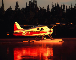 Small plane water night trees - ecological free wallpaper
