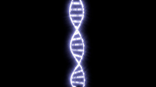 Blue white double strand black - c4d free wallpaper