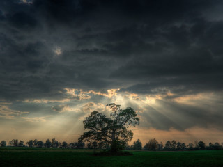 Tree field clouds sun rays 3 - cloud and sun rays free wallpaper