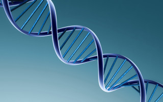 Blue human cell phone gradient - neoplasticism free wallpaper