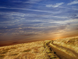 Dirt road grassy field blue - the distance free wallpaper