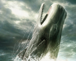 Giant whale mouth open water 3 - mouth wide open free wallpaper