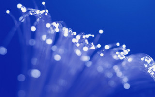 Flower closeup water droplets blue - water droplet free wallpaper
