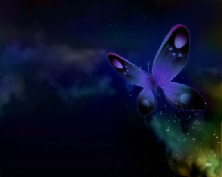 Butterfly flying colorful background stars 2 - a colorful background behind free wallpaper