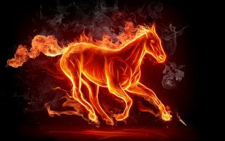Horse running fire field black - a horse free wallpaper