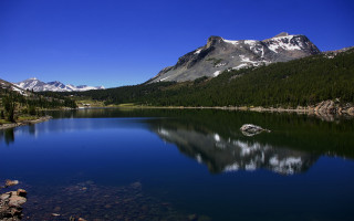 Mountain lake forest sky water 6 - a clear blue sky above free wallpaper