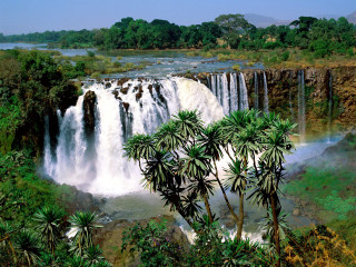 Waterfall rainbow trees nature scenery 4 - afewerk tekle free wallpaper