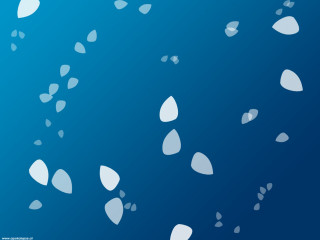 Blue background white leaves floating - vector curve free wallpaper