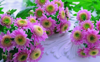 Pink flowers vase bouquet blurry - betye saar free wallpaper