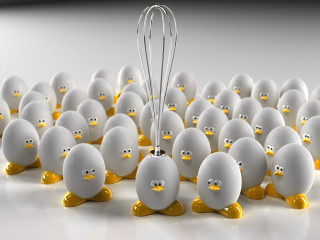 White eggs yellow beaks whisk 4 - a bunch free wallpaper
