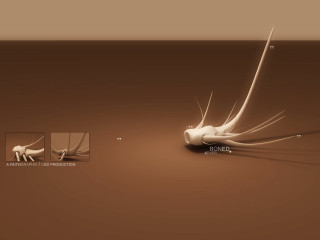 Cat tail bones background smaller - smaller free wallpaper