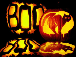 Pumpkins table cat face - a table together free wallpaper