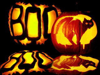 Pumpkins table cat face 2 - a table together free wallpaper