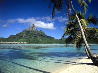 Palm tree beach mountain water 3 - a beach free wallpaper
