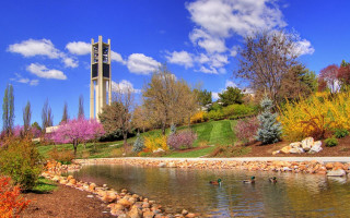 Clock tower pond trees colorful 2 - modernism free wallpaper