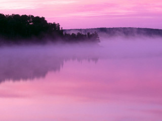 Pink sky trees water fog 2 - fog free wallpaper