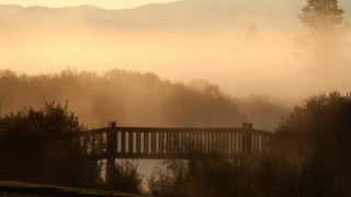 Bridge river fog trees background - the foreground free wallpaper