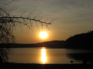 Sunset lake bench person tree 2 - afewerk tekle free wallpaper