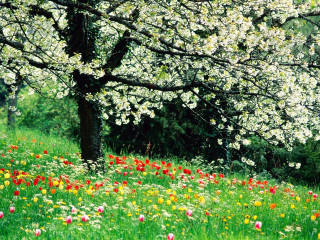 Flower garden christmas nature forest - impressionist painting free wallpaper