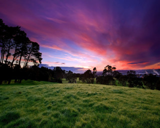 Field sunset trees background nature - colorful cloud free wallpaper