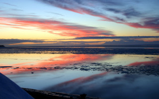 Beach sunset water reflection person - daphne mcclure free wallpaper