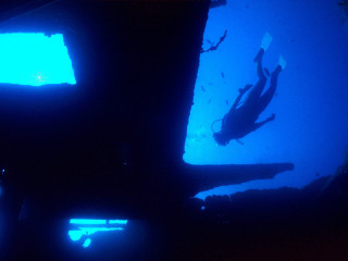 Fish swimming water night tv 3 - sense of depth free wallpaper