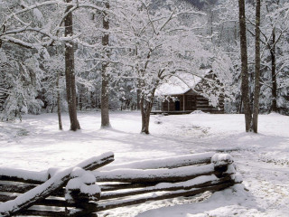 Log fence snow cabin trees - the snow free wallpaper