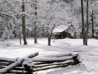Log fence snow cabin trees 3 - the snow free wallpaper
