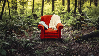 Red chair forest blanket book - a blanket free wallpaper for desktop